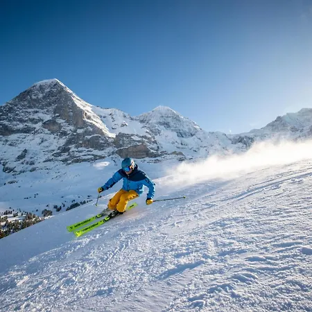 Parkhotel Schoenegg Hotel