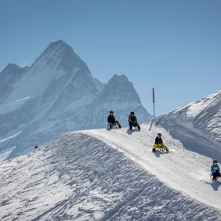 パークホテル シェーネッグ グリンデルヴァルト