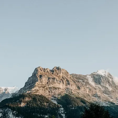 Parkhotel Schoenegg Hotel Grindelwald