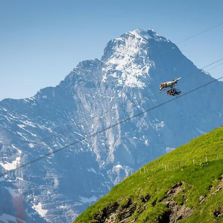 Parkhotel Schoenegg 3* Grindelwald