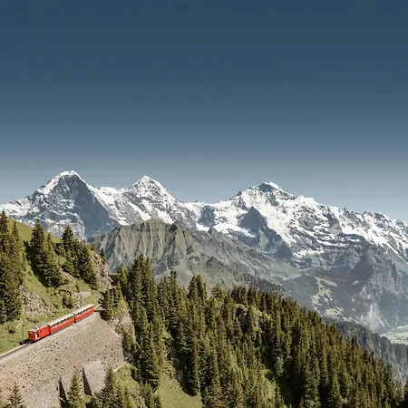 Parkhotel Schoenegg Grindelwald