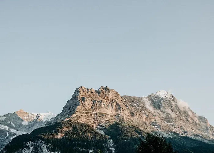 Parkhotel Schoenegg Hotel Grindelwald