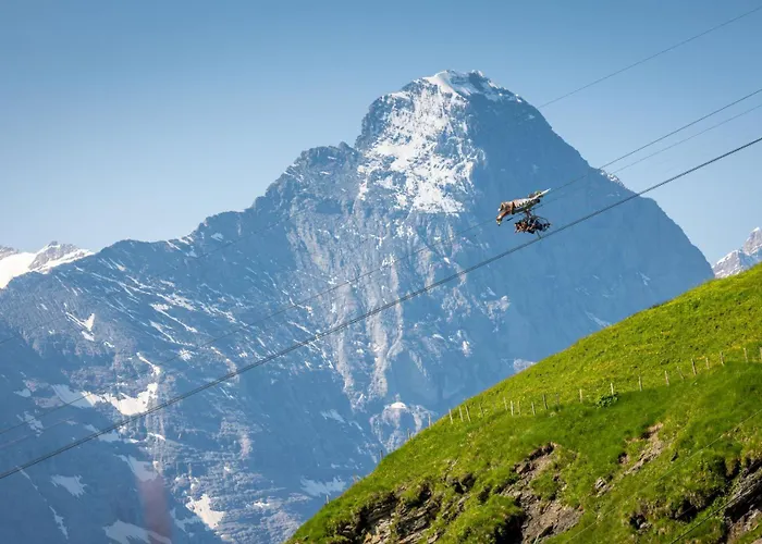 Parkhotel Schoenegg 3* Grindelwald