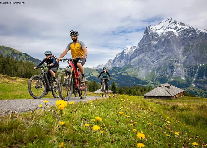 Parkhotel Schoenegg 3* Grindelwald