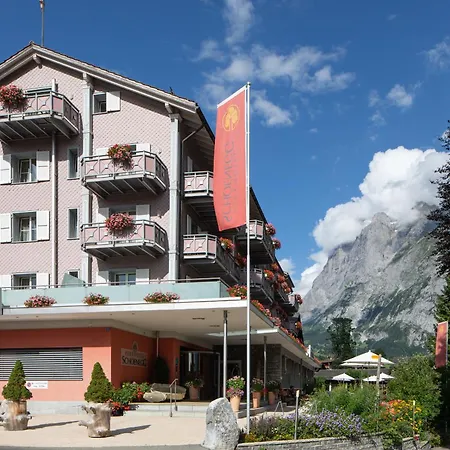 Отель Parkhotel Schoenegg 3*