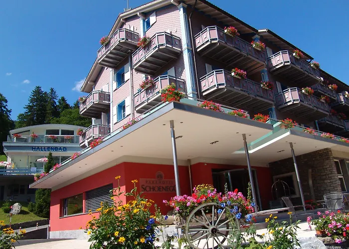 Parkhotel Schoenegg 3* Гриндельвальд