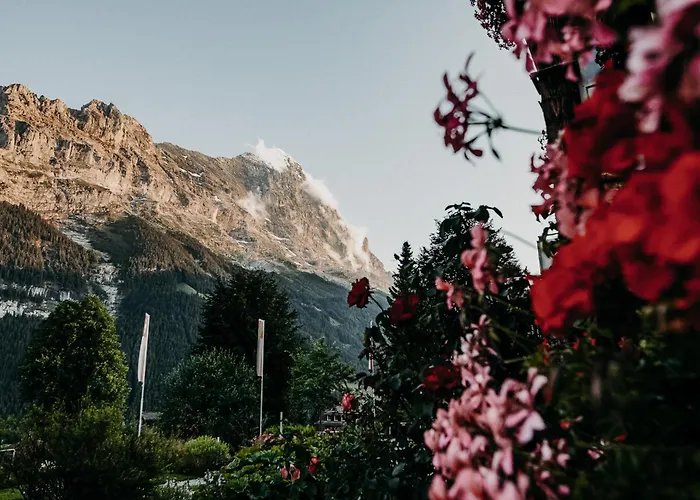 Parkhotel Schoenegg Отель