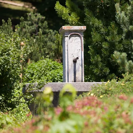 بارك شونيغ فندق