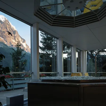 بارك شونيغ فندق جريندلوالد