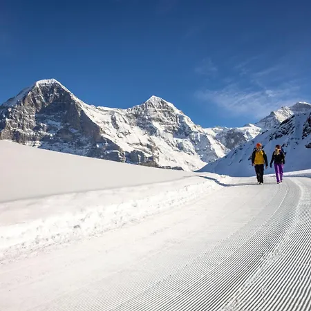 فندق بارك شونيغ جريندلوالد