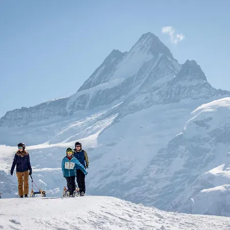 فندق بارك شونيغ